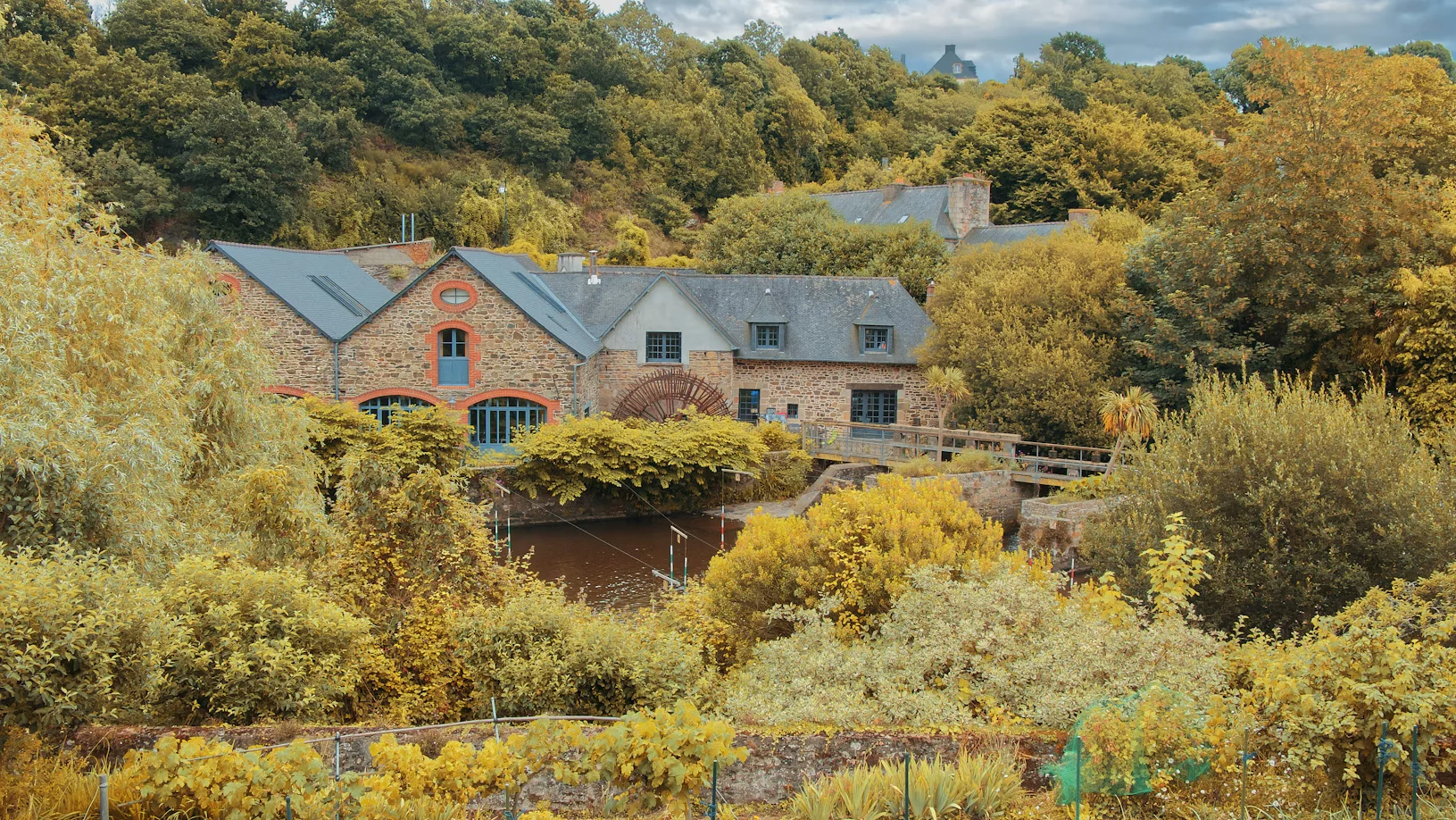 Surveyors in Wandsworth providing professional RICS property surveys